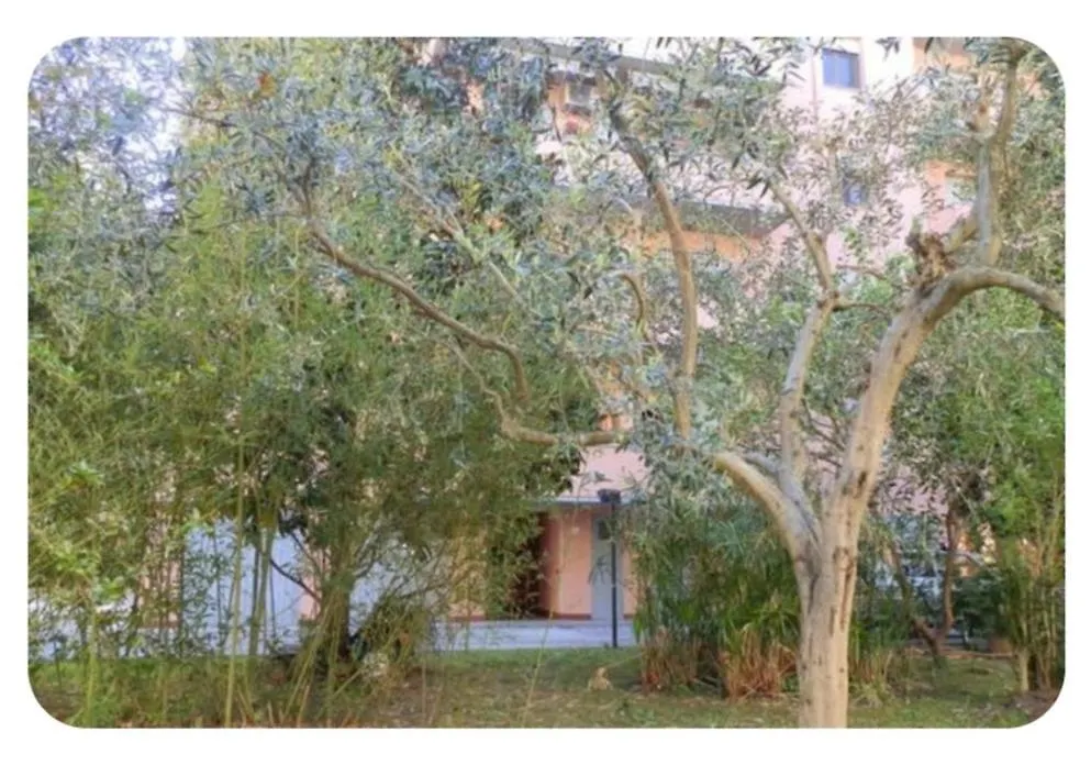 Guest house Dolce Dormire Pisa
